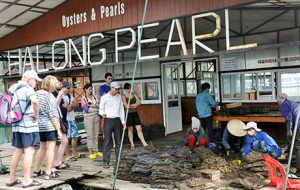 halong-pearl-farm