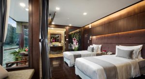 orchid-suite-cabin