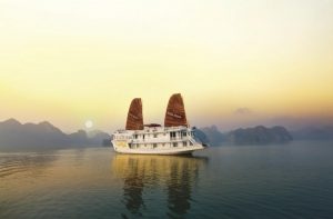 rosa cruise halong